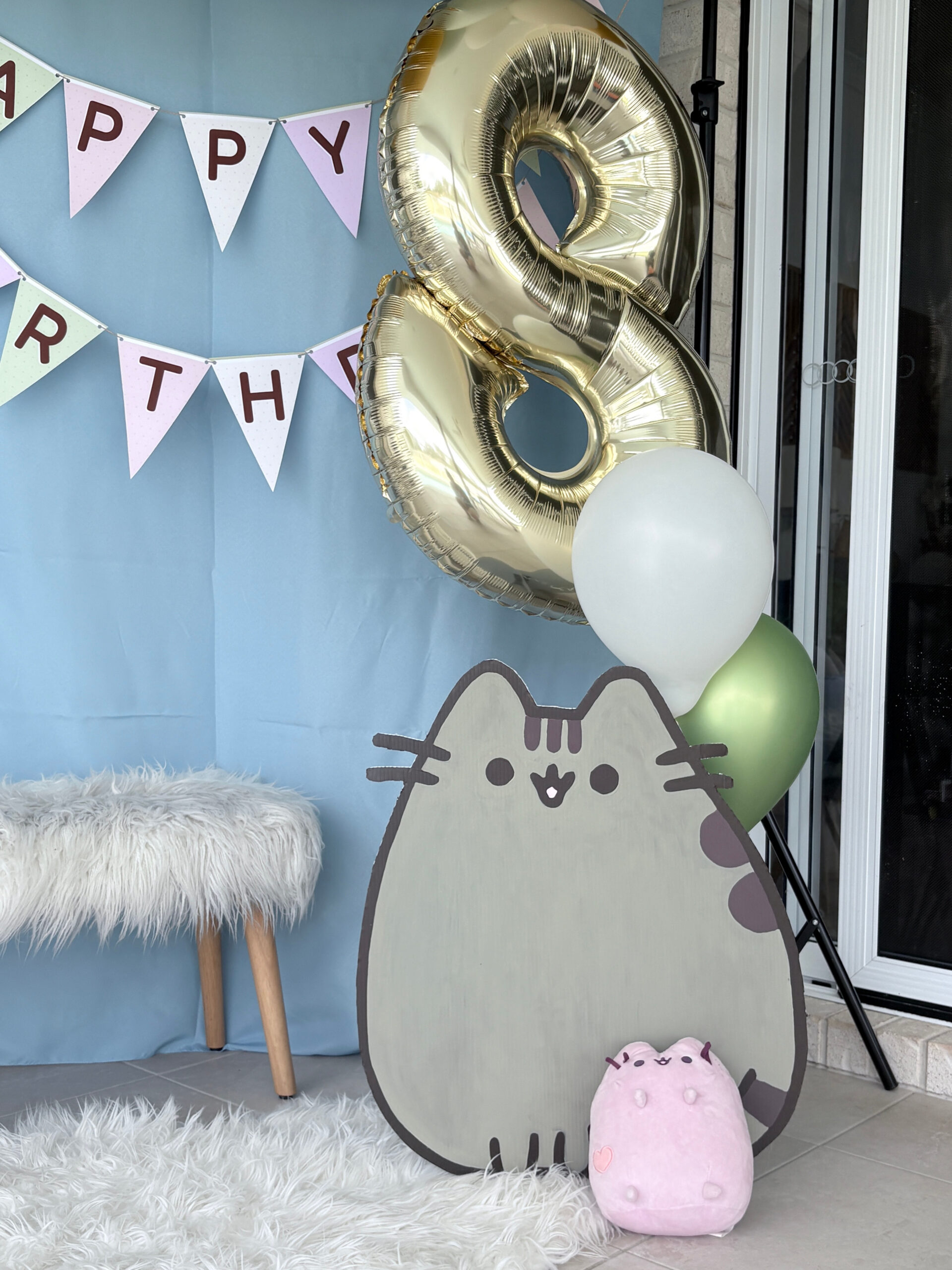Pusheen Birthday Party Photobooth CU