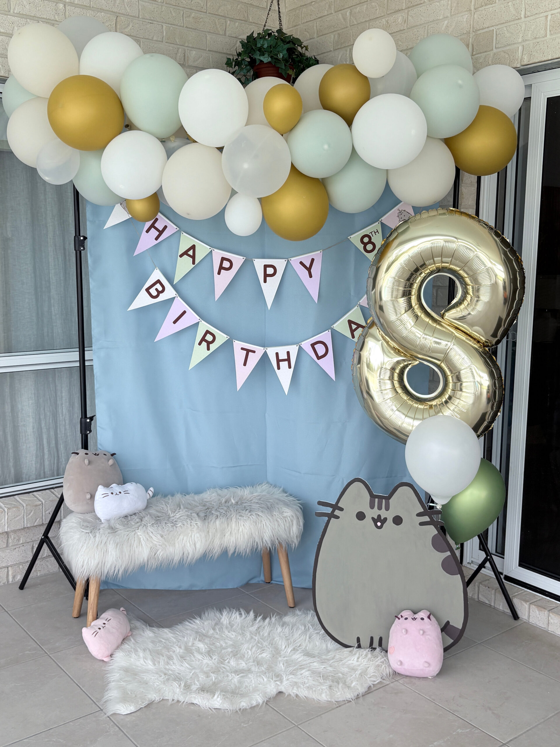 Pusheen Birthday Party Photobooth