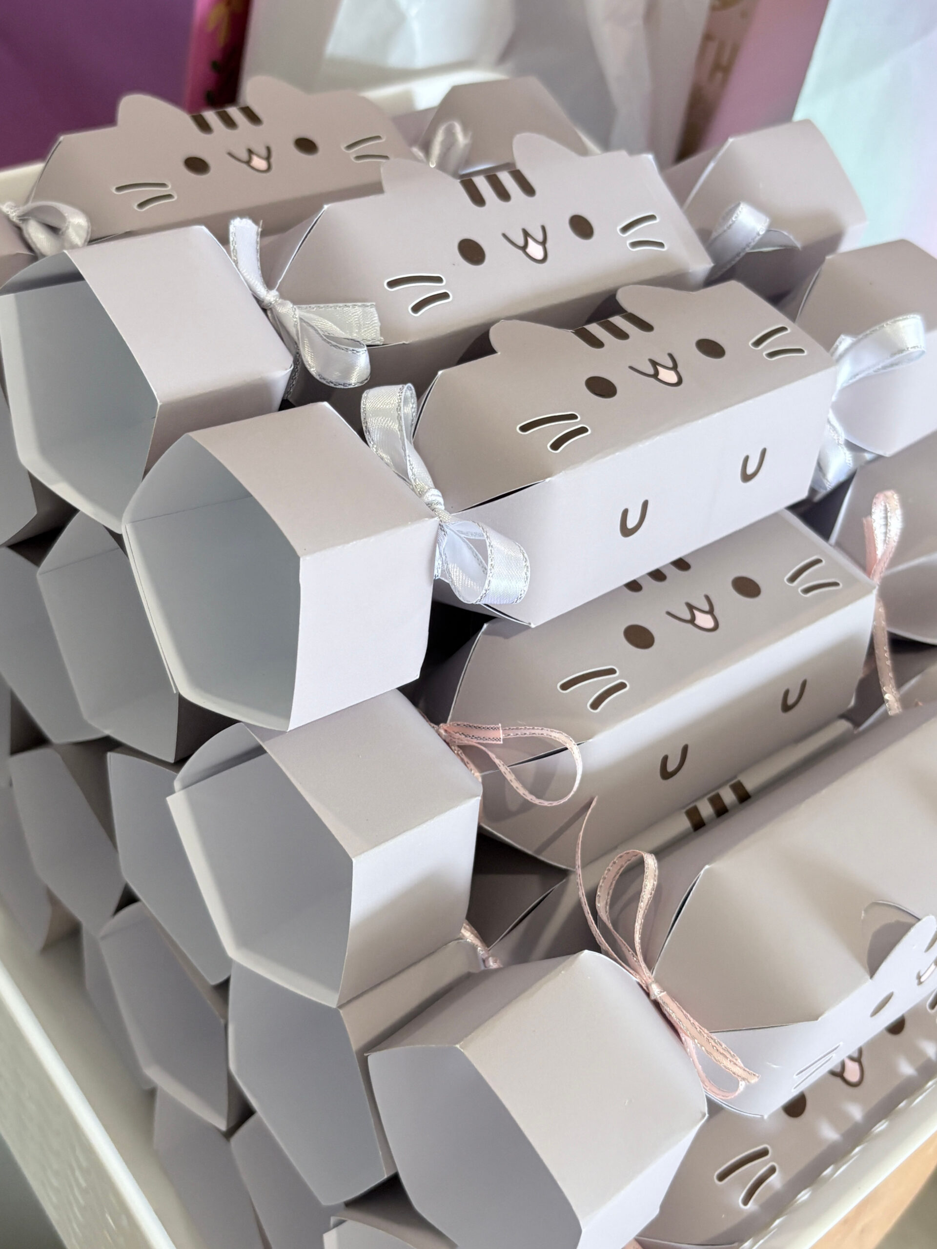 Pusheen Bon Bons Party Favours 02