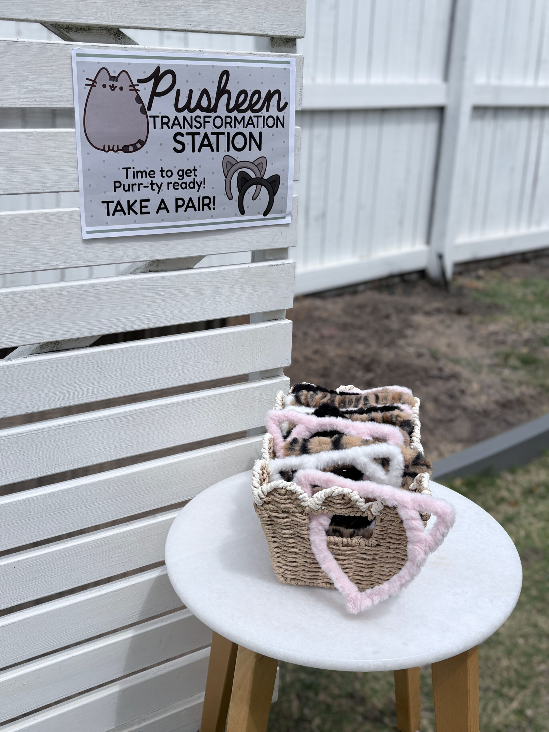 Pusheen Transformation Station