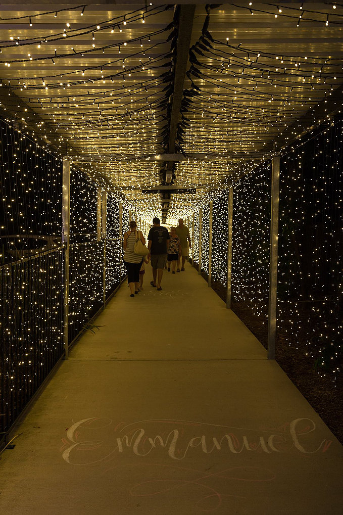 Christmas Tunnel of Light 1