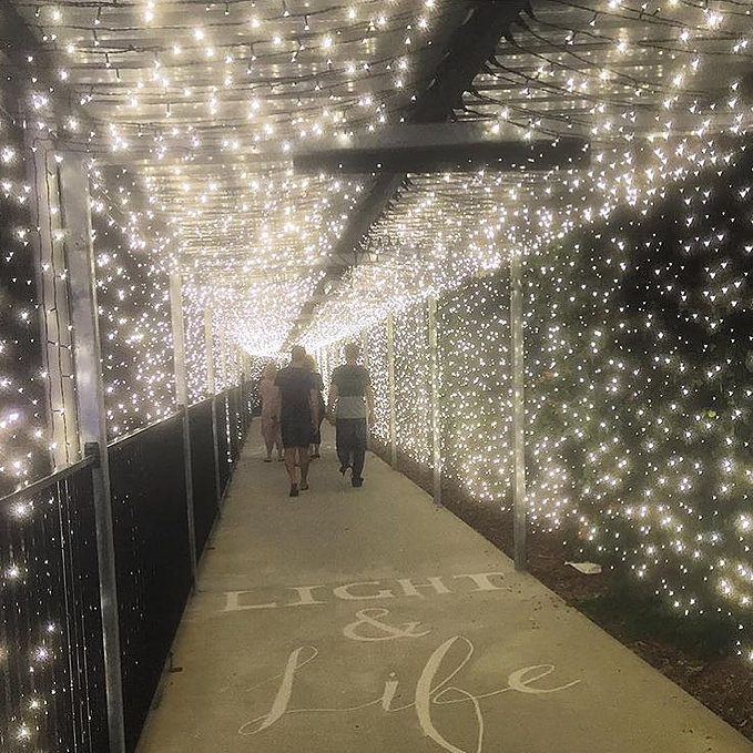 Christmas Tunnel of Light 2