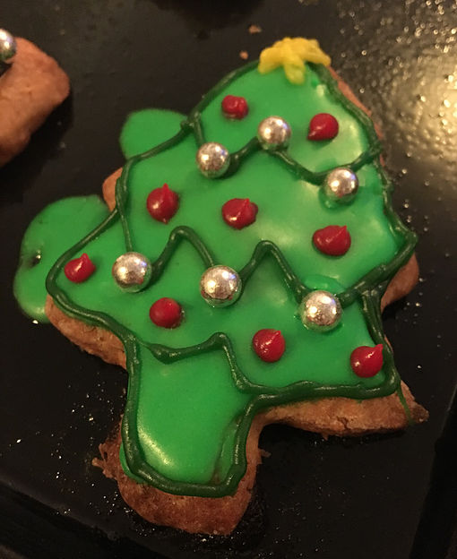 Iced Christmas Cookies 3