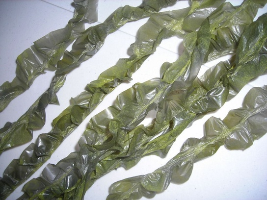 Garbage Bag Seaweed