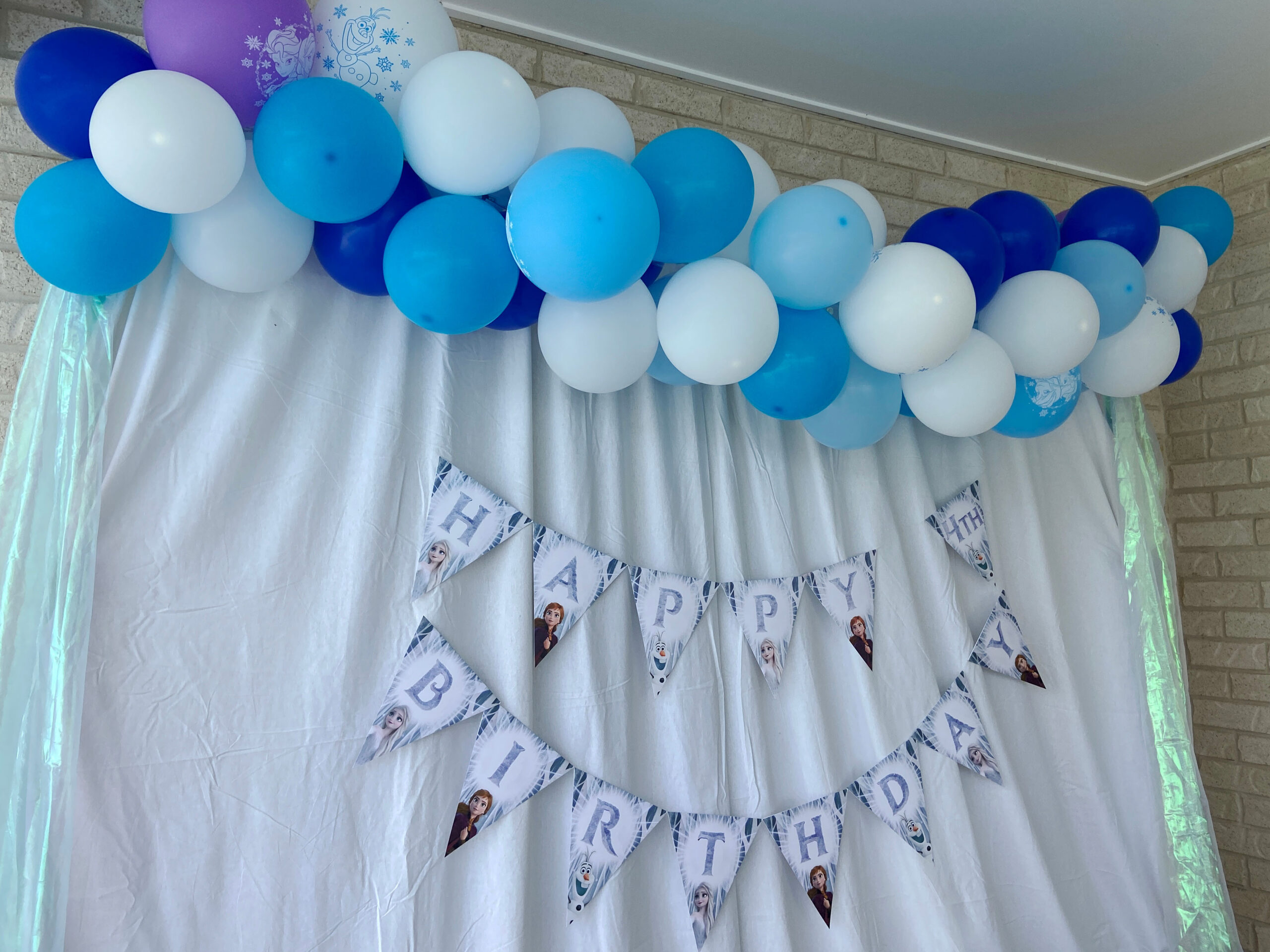 Frozen Birthday Backdrop, Balloon Arch and Banner
