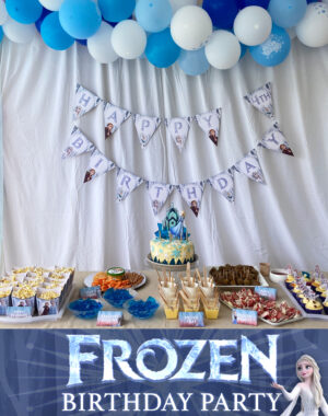 Frozen Birthday Party Pinterest
