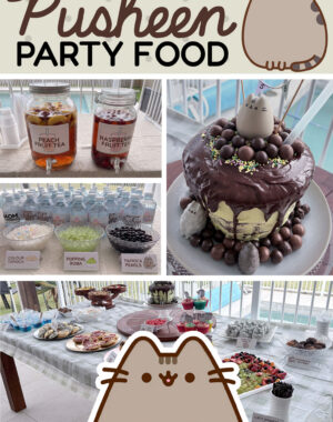 Pusheen Birthday Party Food Pinterest