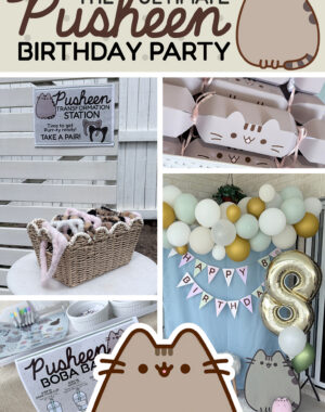 The Ultimate Pusheen Birthday Party Pinterest